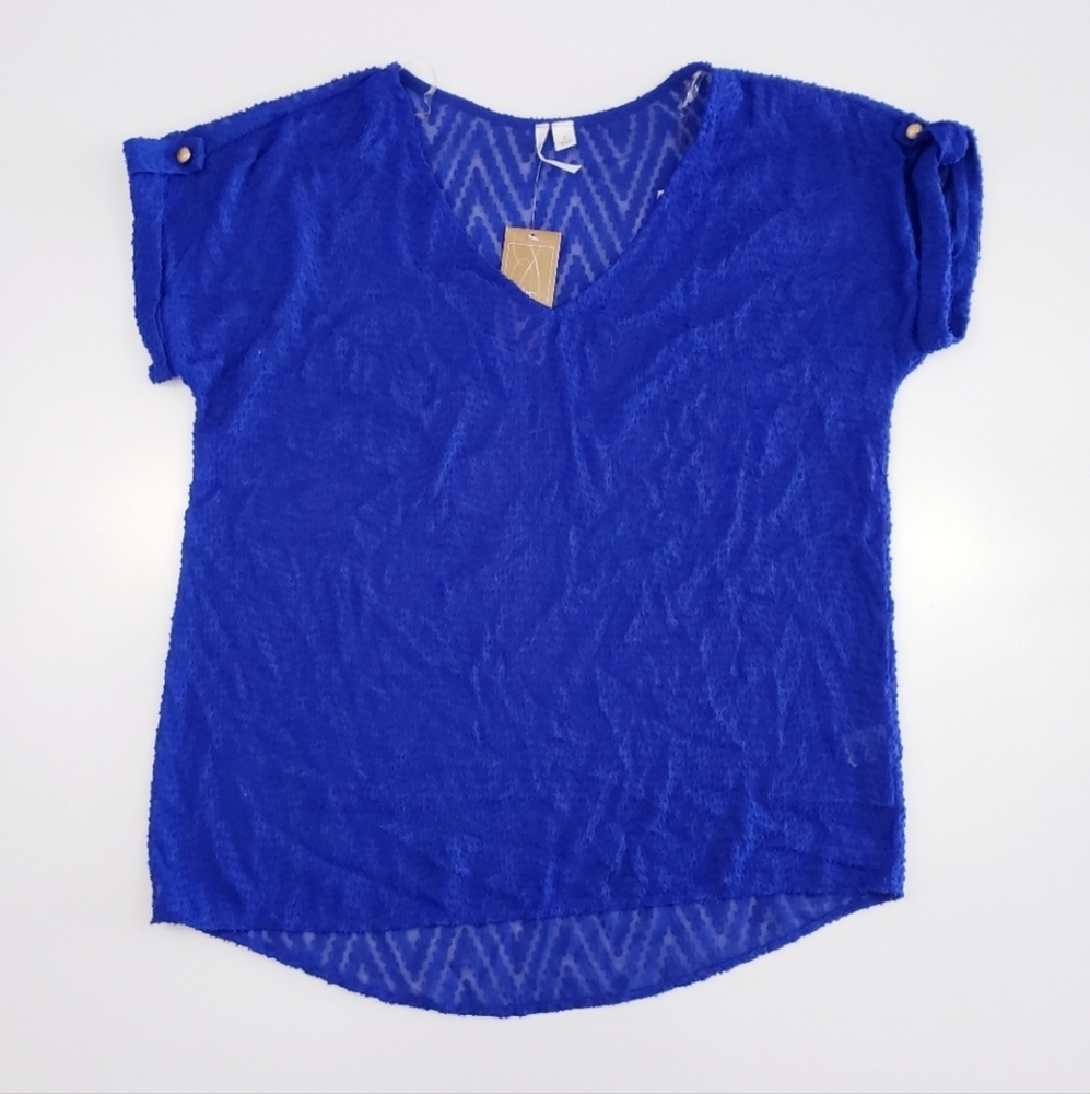Francesca's Blue Sheer Chevron Top